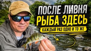 ПОЧЕМУ ПОСЛЕ ДОЖДЯ Я ПЕРВЫМ ДЕЛОМ ЕДУ СЮДА | Наноджиг, мормышинг и поиск активной рыбы