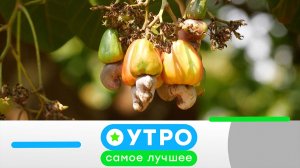 «Утро. Самое лучшее»: 6 августа  2026 года