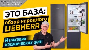 Базовый Liebherr по хорошей цене: обзор холодильника CNdgc 5703