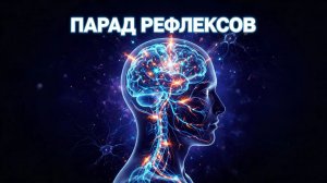 Парад рефлексов