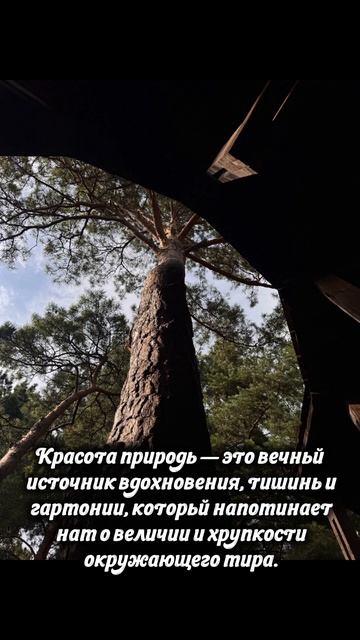 Красота природы