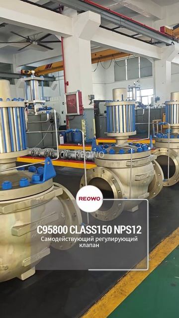 ~C95800 CLASS150 NPS12 Самодействующий регулирующи