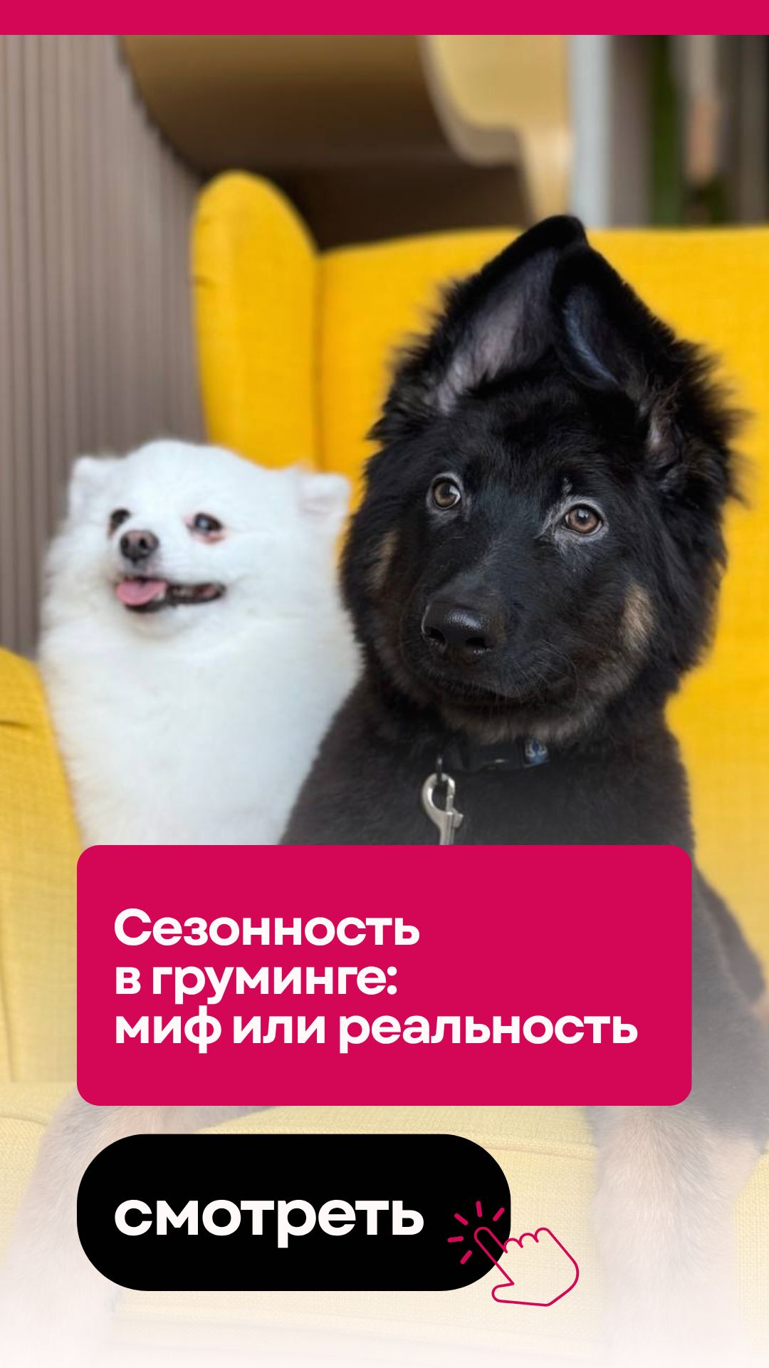 Сезонность в груминге: миф или реальность