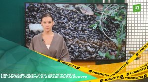 Россельхознадзор продолжает устанавливать причины массовой гибели пчел