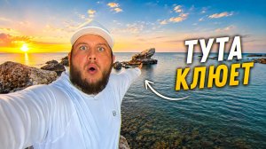 ИЩЕМ и ЛОВИМ РЫБУ в МОРЕ 🎣 РЫБАЛКА в ТУРЦИИ 2026