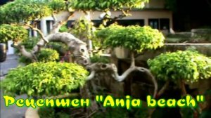 Рецепшен отеля «Anja beach resort».Фукуок.
