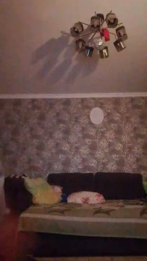 найдите пожалуйста на трансляцию  будет очень интересно