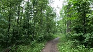 прогулка в лесу серия 57