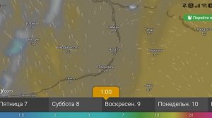 Прогноз погоды 6-11 августа 2026 от windy.com