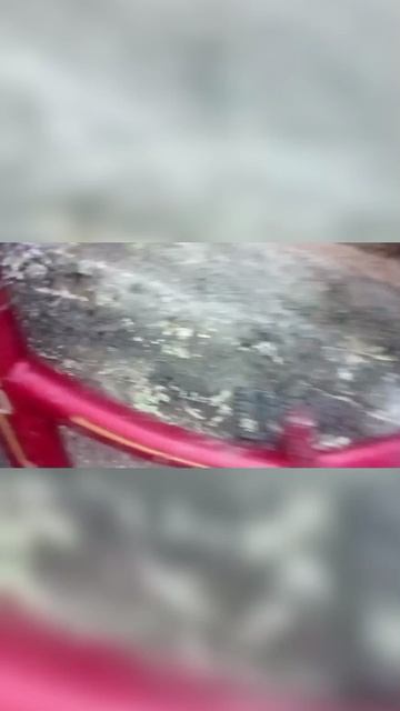 1000033377.mp4