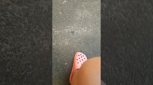 1000000438.mp4