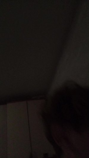 всем привет
