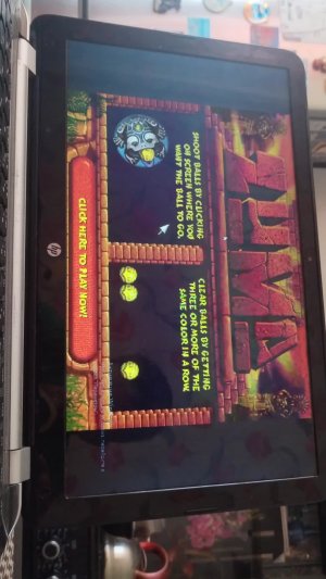 стрим Zuma