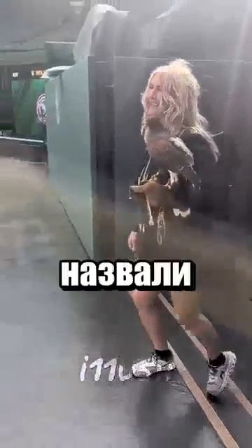 Спидран по тик току
