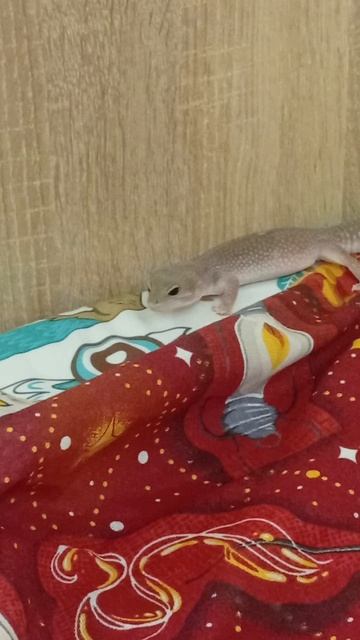 МАФИОЗИ 2 ЧАСТЬ