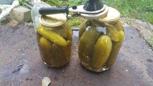 Квашенные огурчики как в детстве.