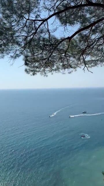 Погода в Крыму от волшебника Ивана Ивановича Кулебякина из Москвы от 5 августа