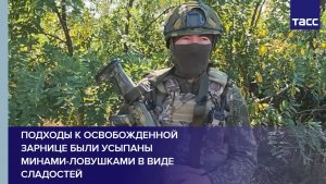 Подходы к освобожденной Зарнице были усыпаны минами-ловушками в виде сладостей