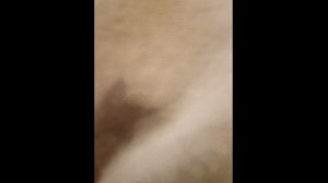 Новенькие!!! Обзор на новых 3D, плюшку, и обустраивание домиков для других 3D игрушек!!🪼