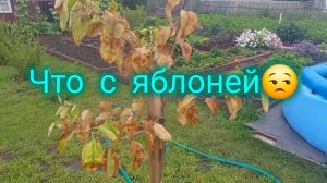 можно ли спасти?🤔