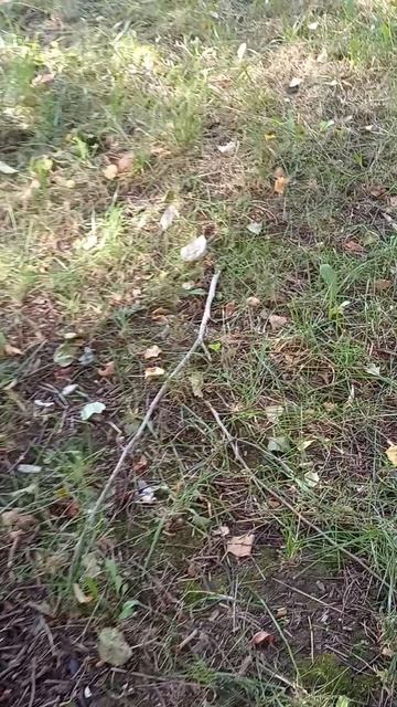 Жизнь в СВО. часть 3