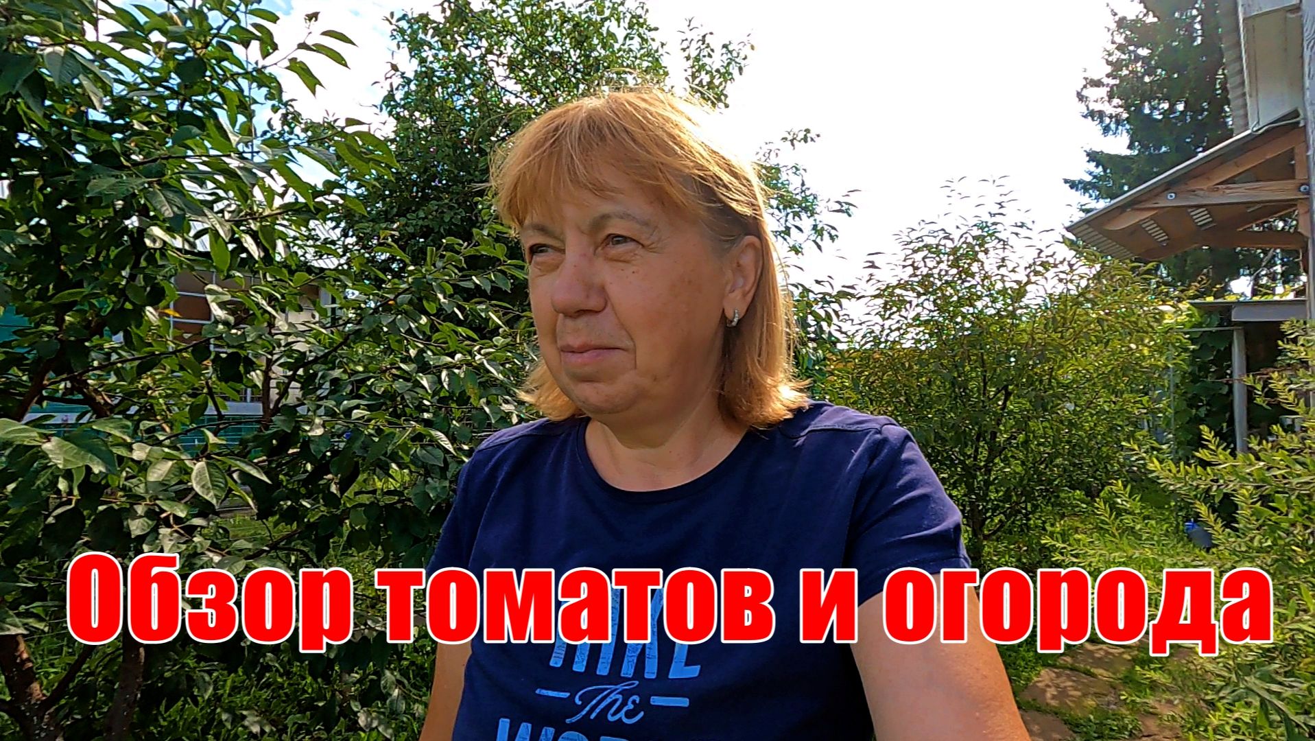 ОБЗОР ТОМАТОВ И ОГОРОДА