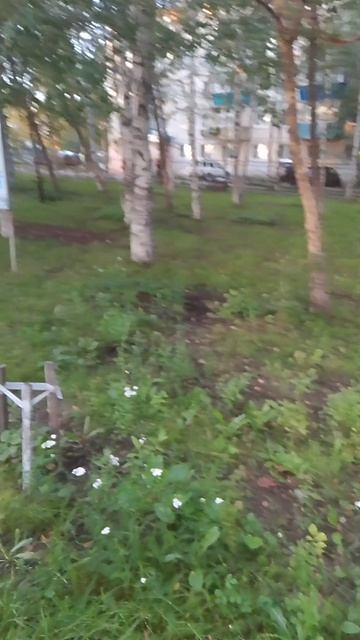 ГУЛЯЕМ