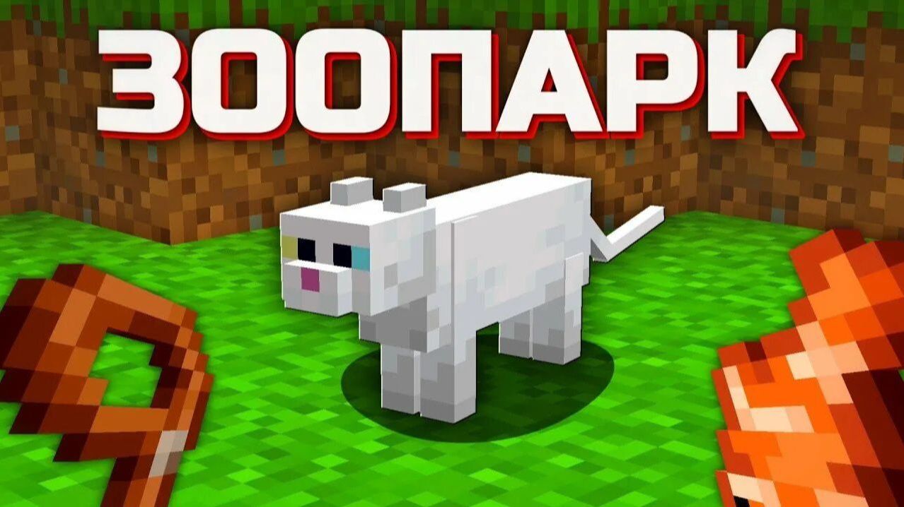 Мы построили зоопарк в нашем городе.