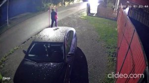Медведица с медвежатами вышла к людям в Свердловской области