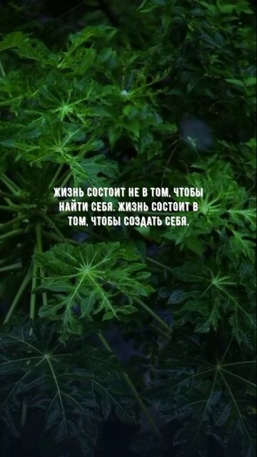 #1145 Цитата дня. Мотивация.