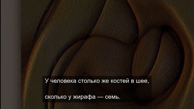 Классное видео 5