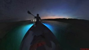 2026.08 На сапе с подсветкой