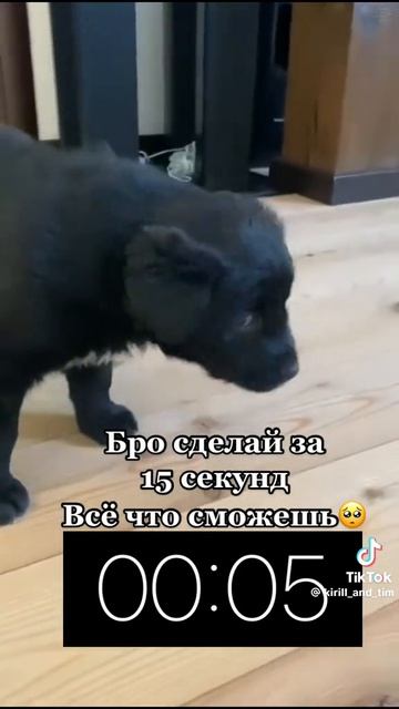 1001199137.mp4