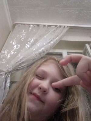 делаем шаурму куда