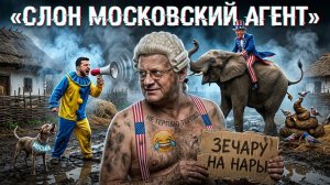 США принуждают Зе👺 к миру. Бизнес - один на один с войной. | МОСИЙ |Стефанишина и Буханевич СЯДУТ!