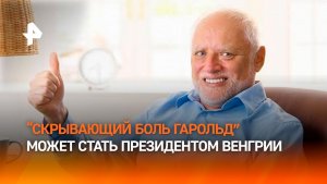Герой мема «Гарольд, скрывающий боль» может стать президентом Венгрии