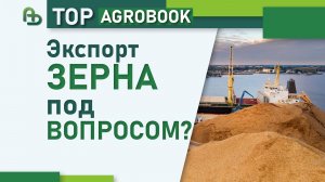 Новые атаки в Чёрном море. Экспорт зерна под вопросом? | TOP Agrobook: обзор аграрных новостей