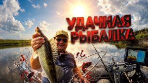 Судак и щука на троллинге: рыбалка на Оке, которая удалась — спасибо этому воблеру!