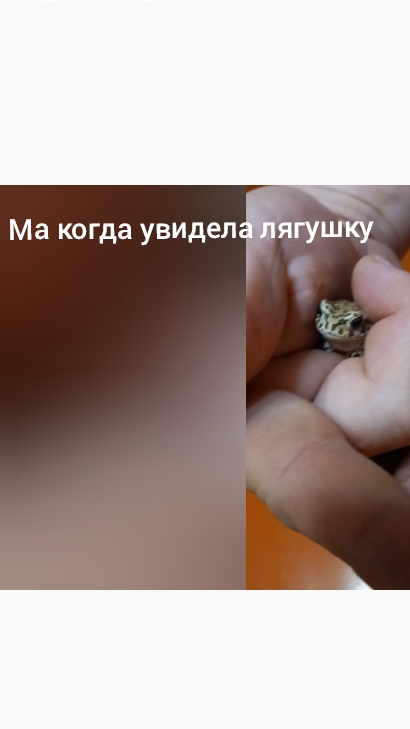 Ма когда увидела лягушку