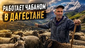Разговор с чабаном в Дагестане: вся правда о жизни среди гор