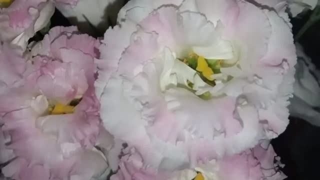 День рождения летом как отпраздновать