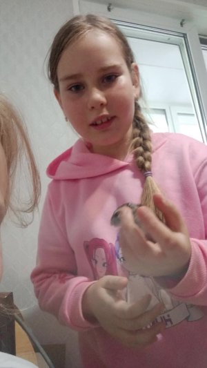 хомячок, Моня.