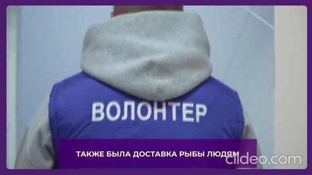 ty-volonter-ty-dobrovolec-s-subtitrami_edyPLvMw