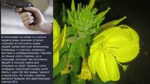 Николаев 7 августа 2026 года (новости)