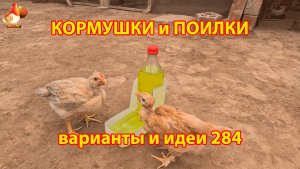 Кормушки и поилки для кур своими руками (284) 🪚✂️ Пошаговая инструкция как сделать 🐔 🐓❣️