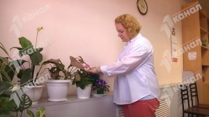 Идеальный баланс Яны Бобошиной