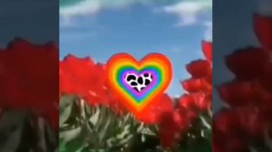 1000031574.mp4