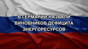 В Германии назвали виновников дефицита энергоресурсов