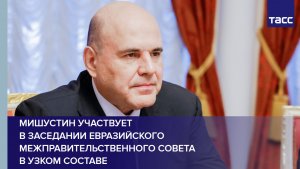 Мишустин участвует в заседании Евразийского межправительственного совета в узком составе