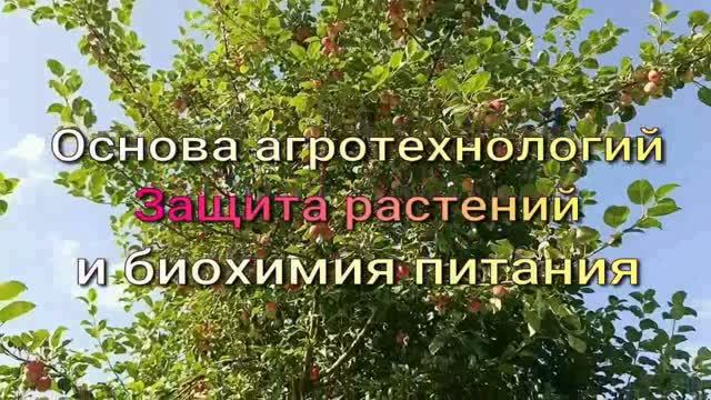 Защита растений и биохимия питания